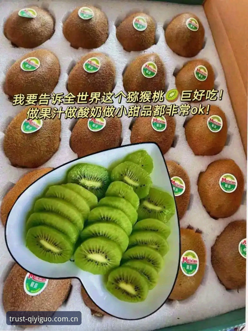 奇异果体育2024版本 奇异果体育2024版本使用指南:从下载到功能全解析