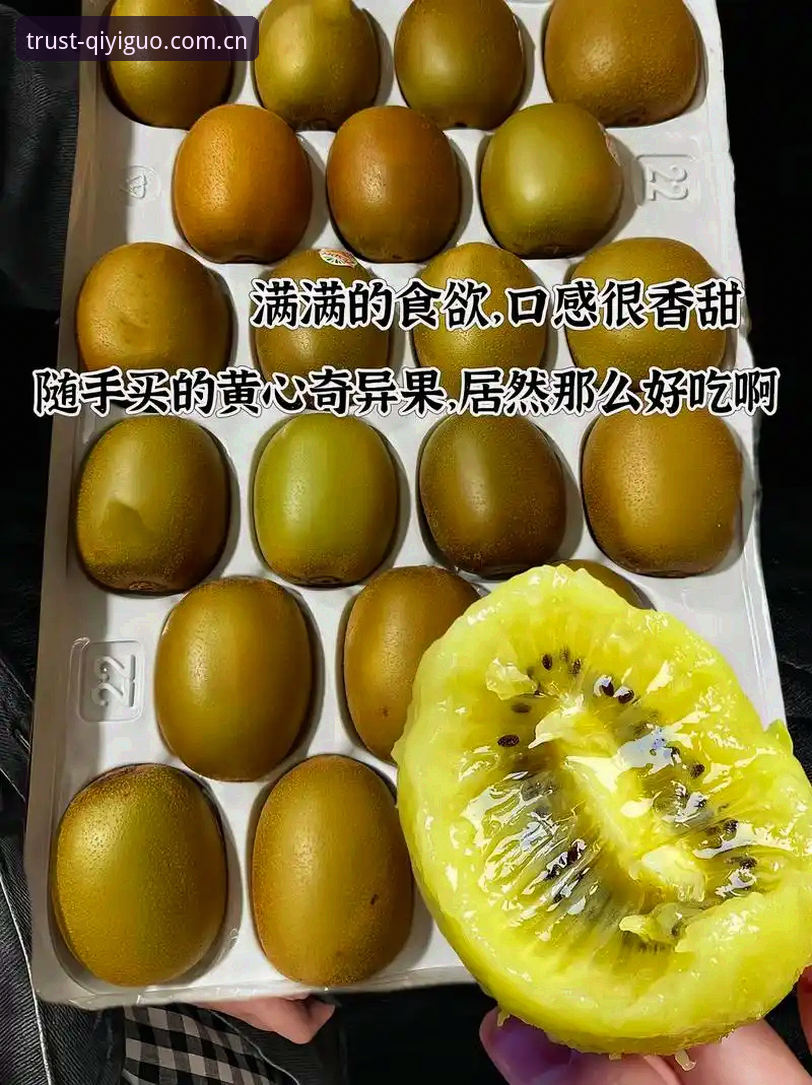 奇异果体育2024版本 奇异果体育2024版本使用指南:从下载到功能全解析