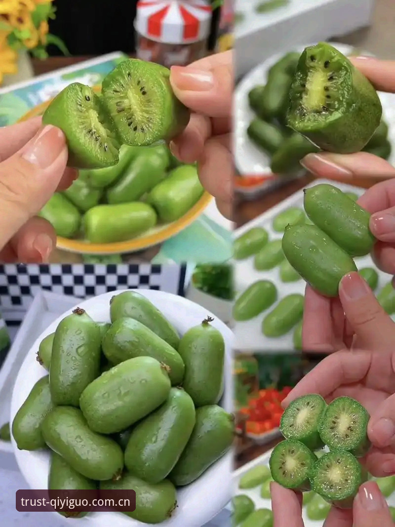 奇异果体育平台安全使用教程与操作指南