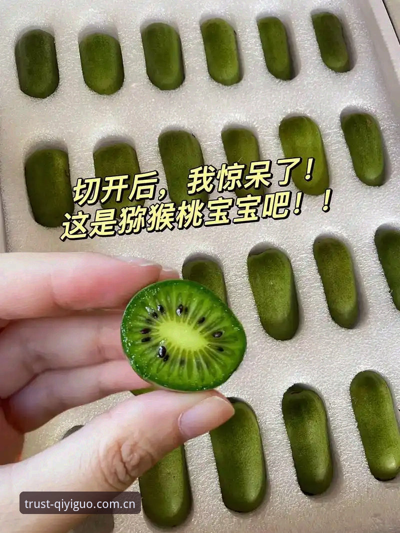 揭秘：奇异果体育登录背后的便捷体验与隐藏功能